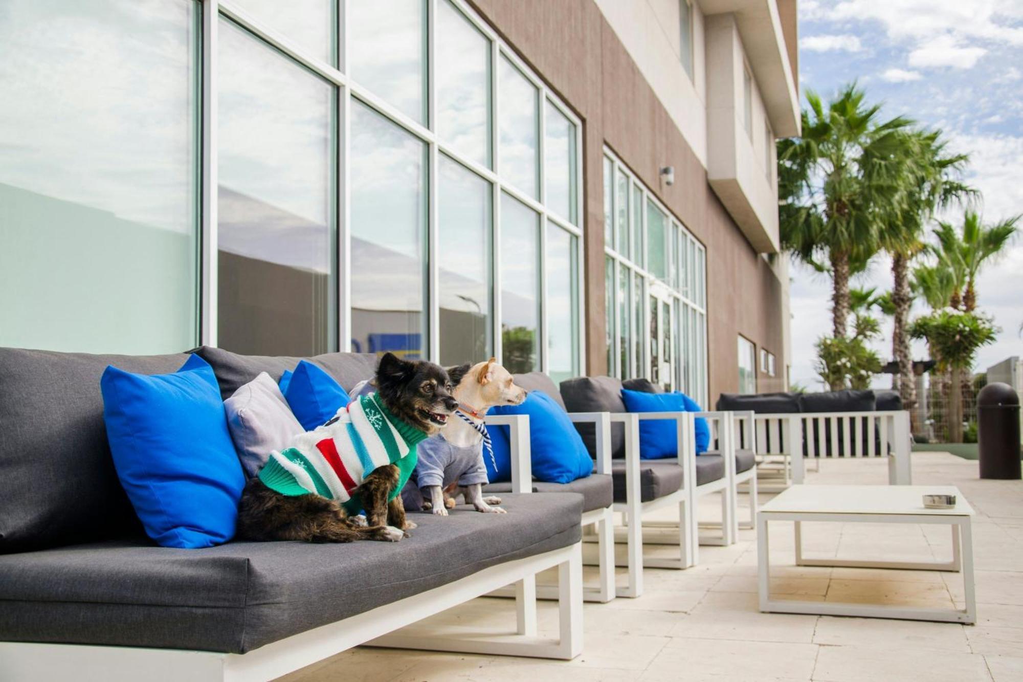 Courtyard By Marriott Hermosillo Buitenkant foto